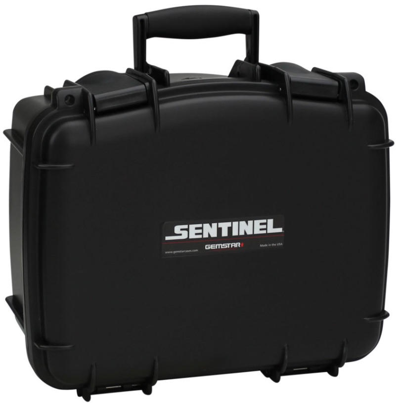 Sentinel cases 912-6
