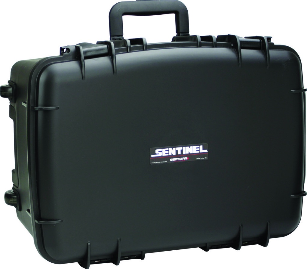 Sentinel cases 1420-10