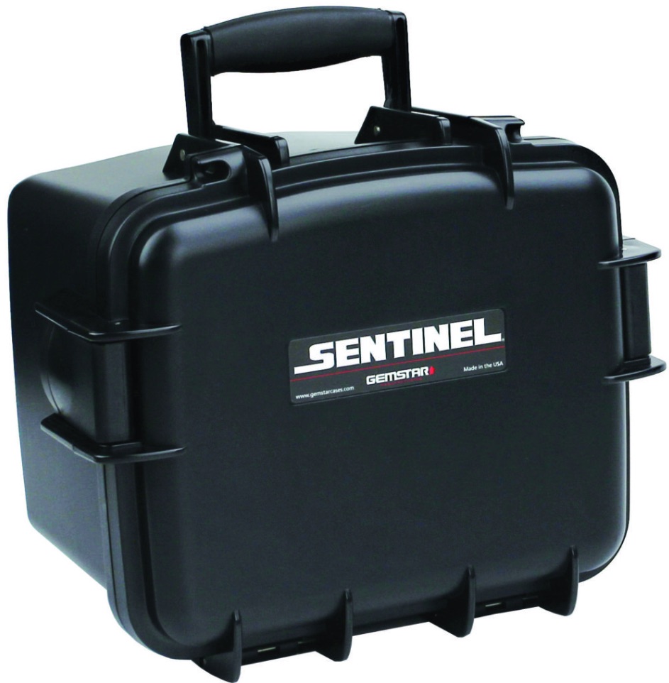 Sentinel cases 810-8