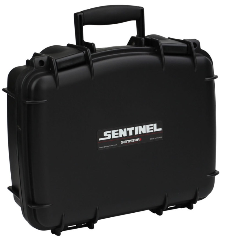 Sentinel cases 912-4