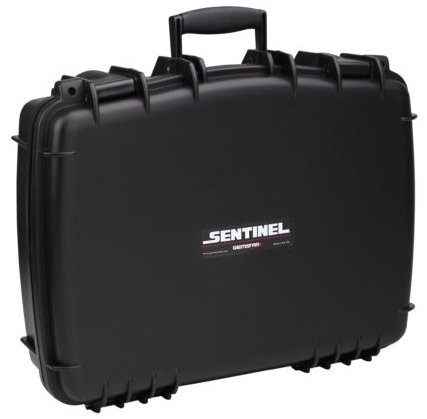 Sentinel cases 1318-5