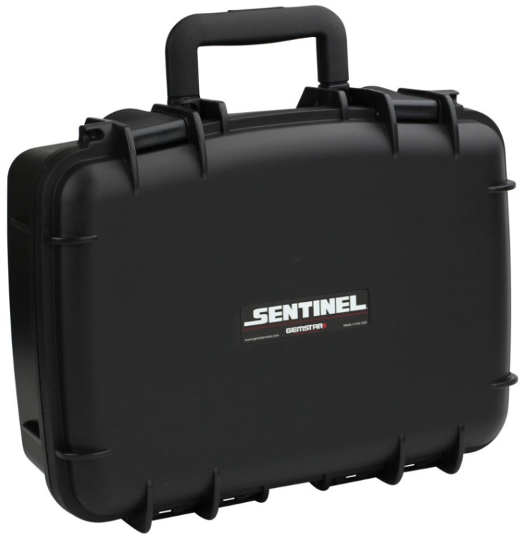 Sentinel cases 1116-6